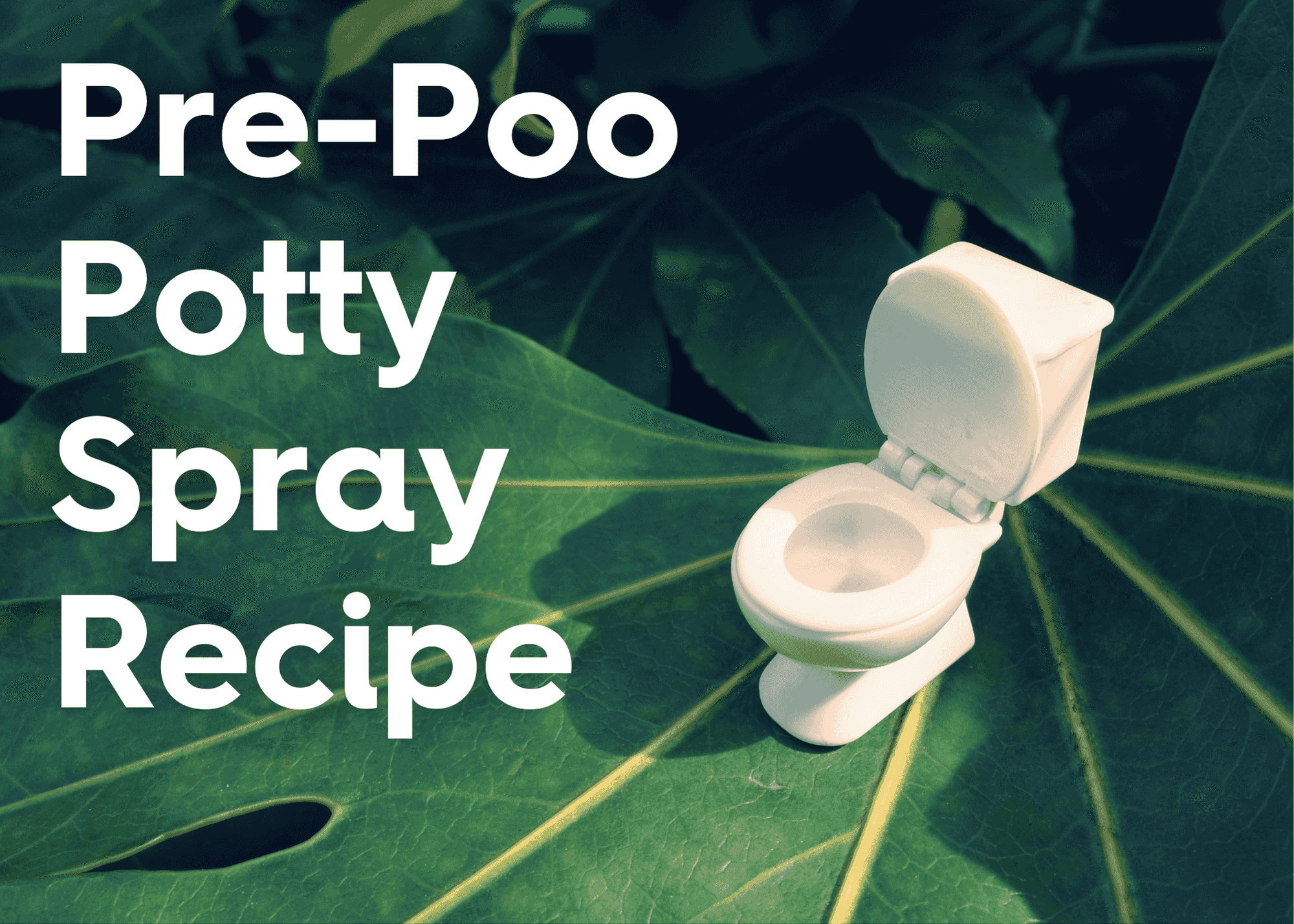 pre poo potty spray minimize odor after using toilet poopourri DIY homemade