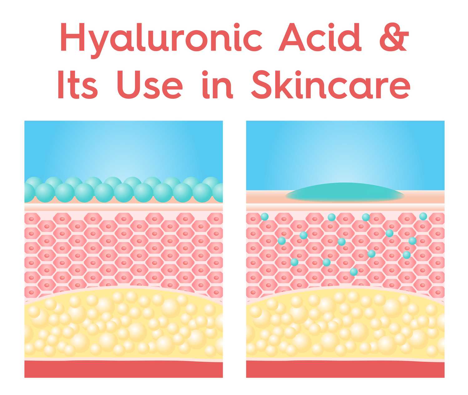 فواید هیالورونیک اسید برای پوست