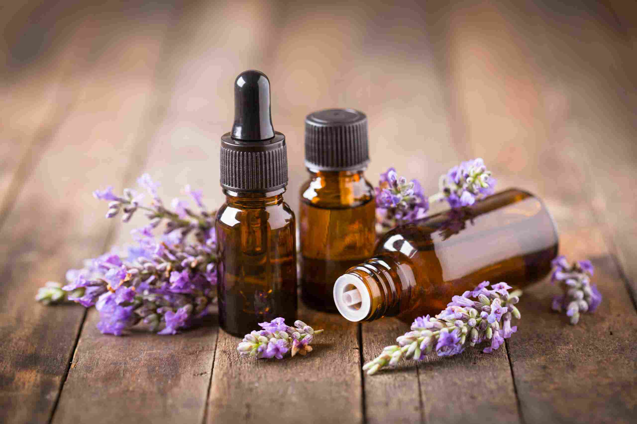 lavender oil skincare plant how to