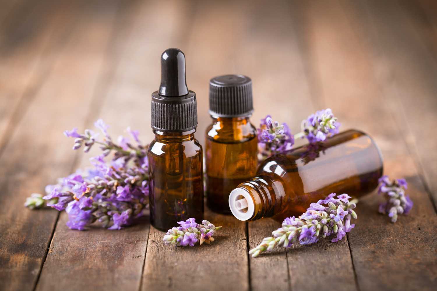 Lavender – The Plant and its Use in Skin Care