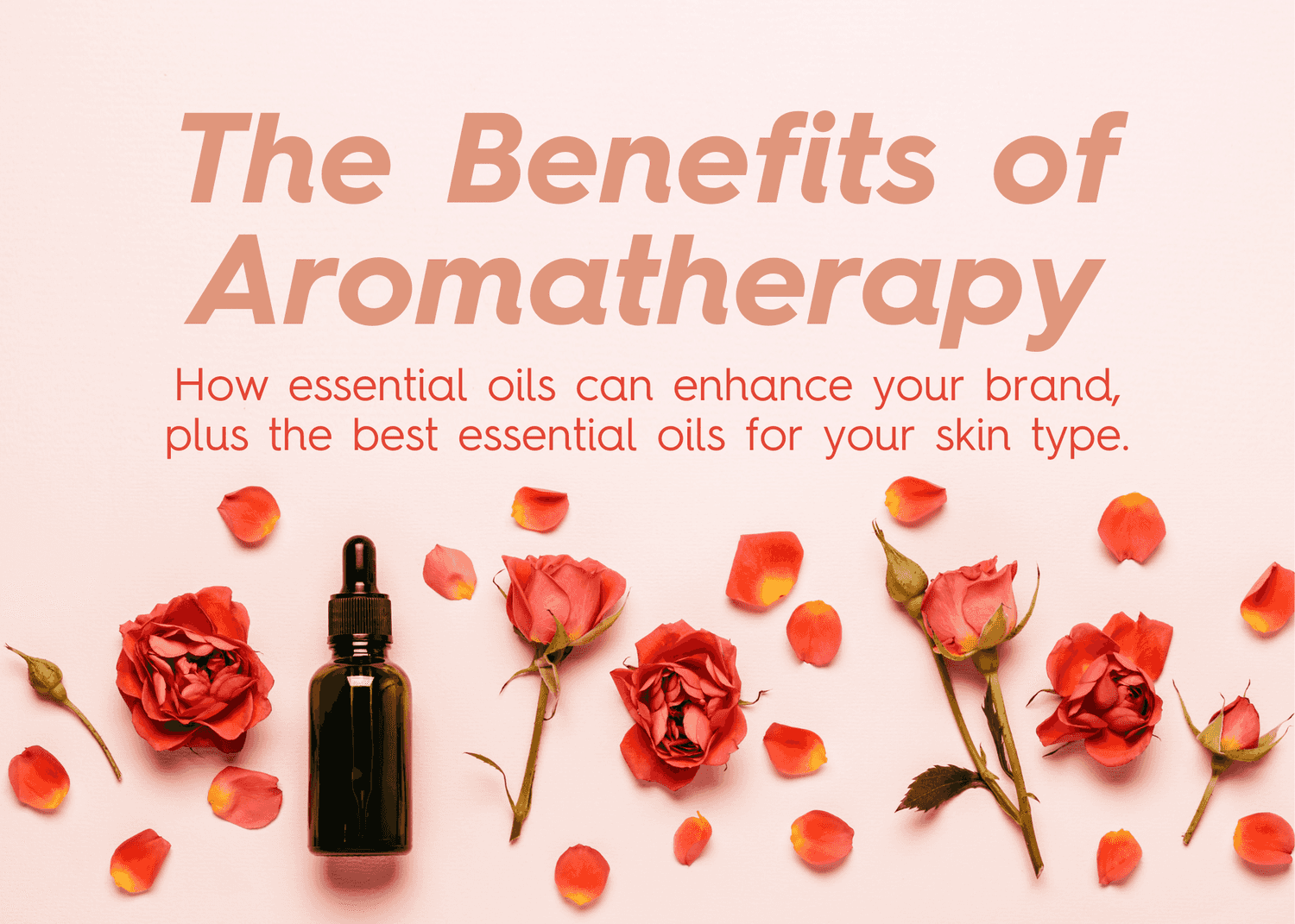 Benefits of Aromatherapy and Essential Oils - The Therapist Essentials