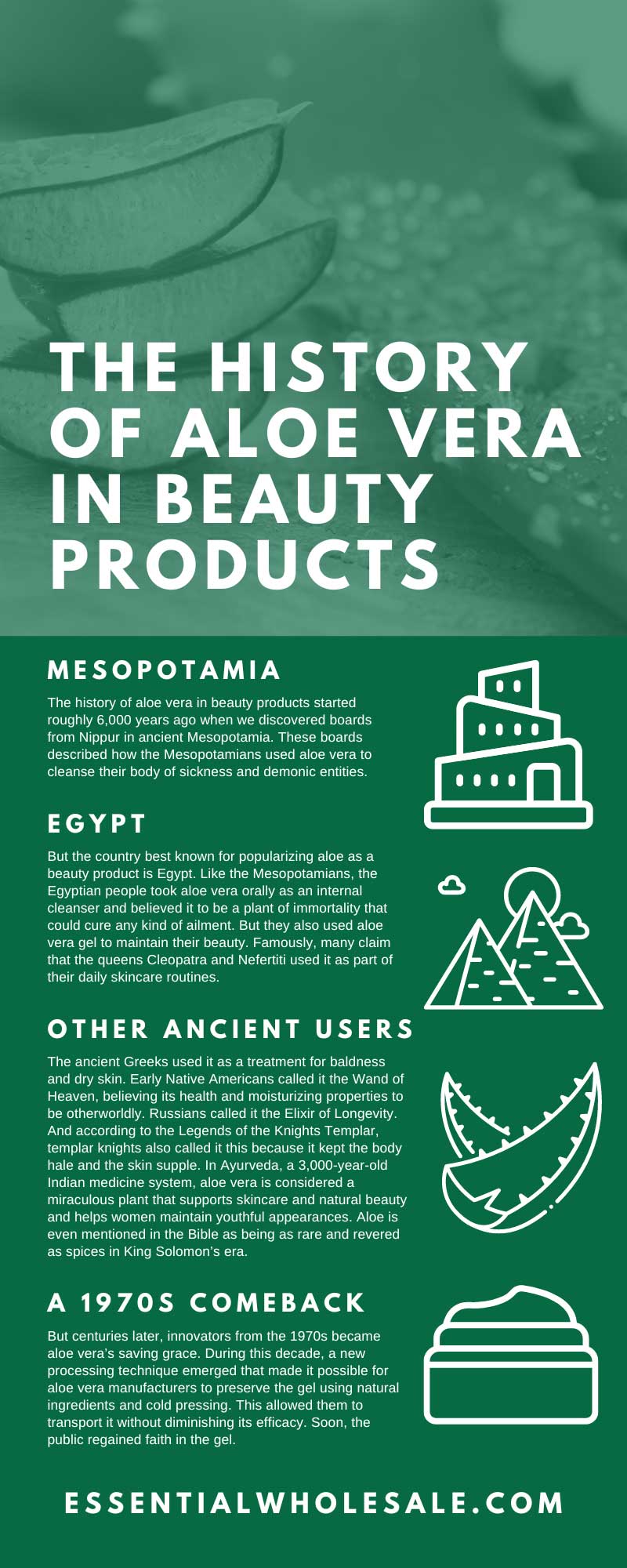 The History of Aloe Vera in Beauty Products