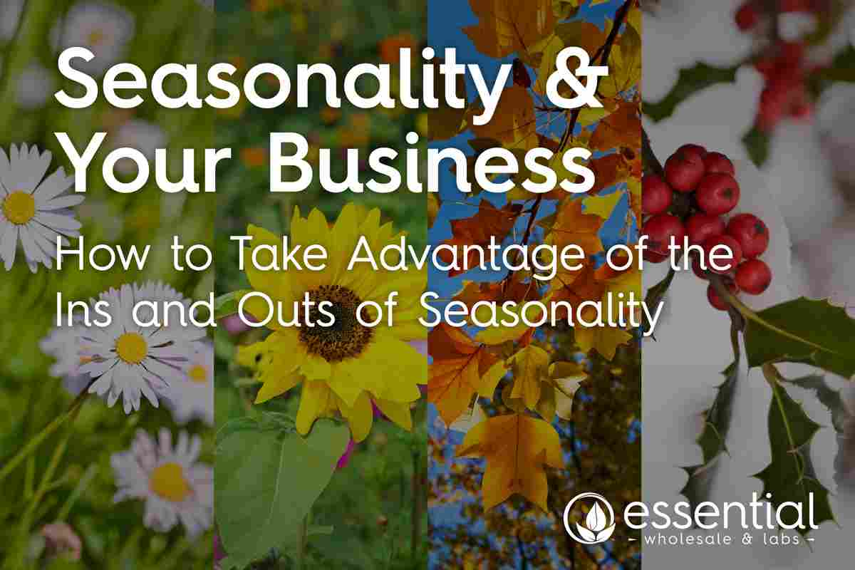seasonality your business how to handle adapt cash flow