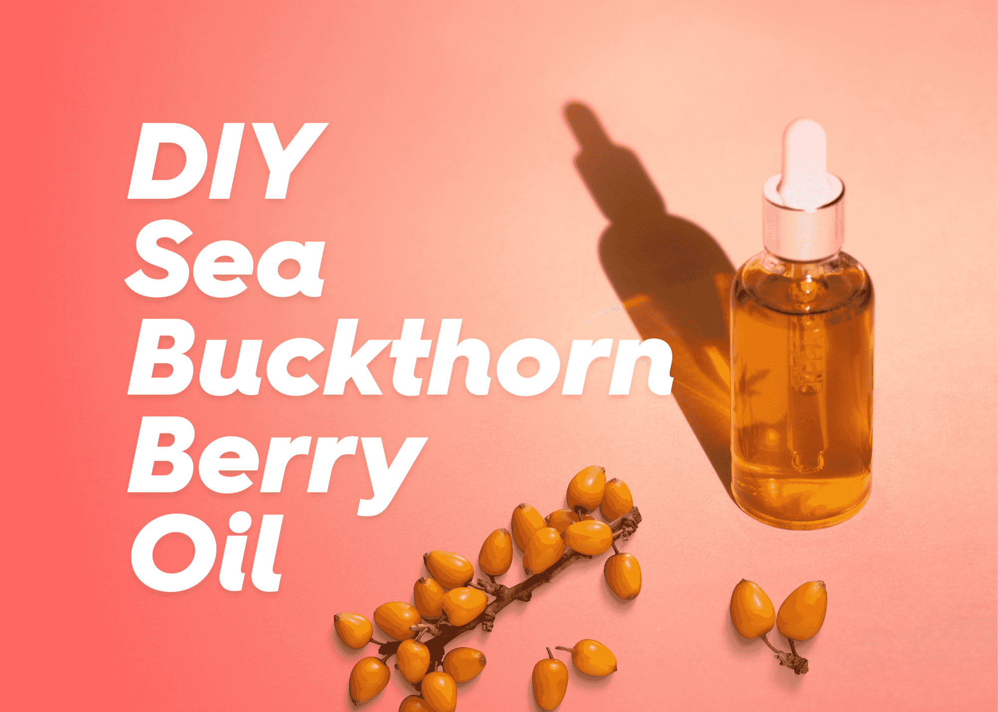 How to Make a DIY Sea Buckthorn Berry Oil