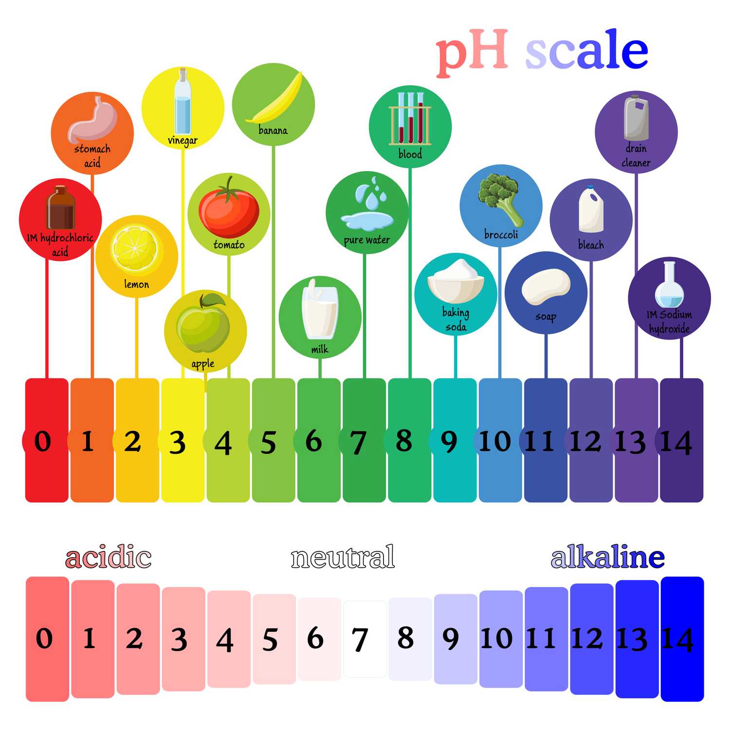 Hair Color Theory Class 5, What is PH Scale