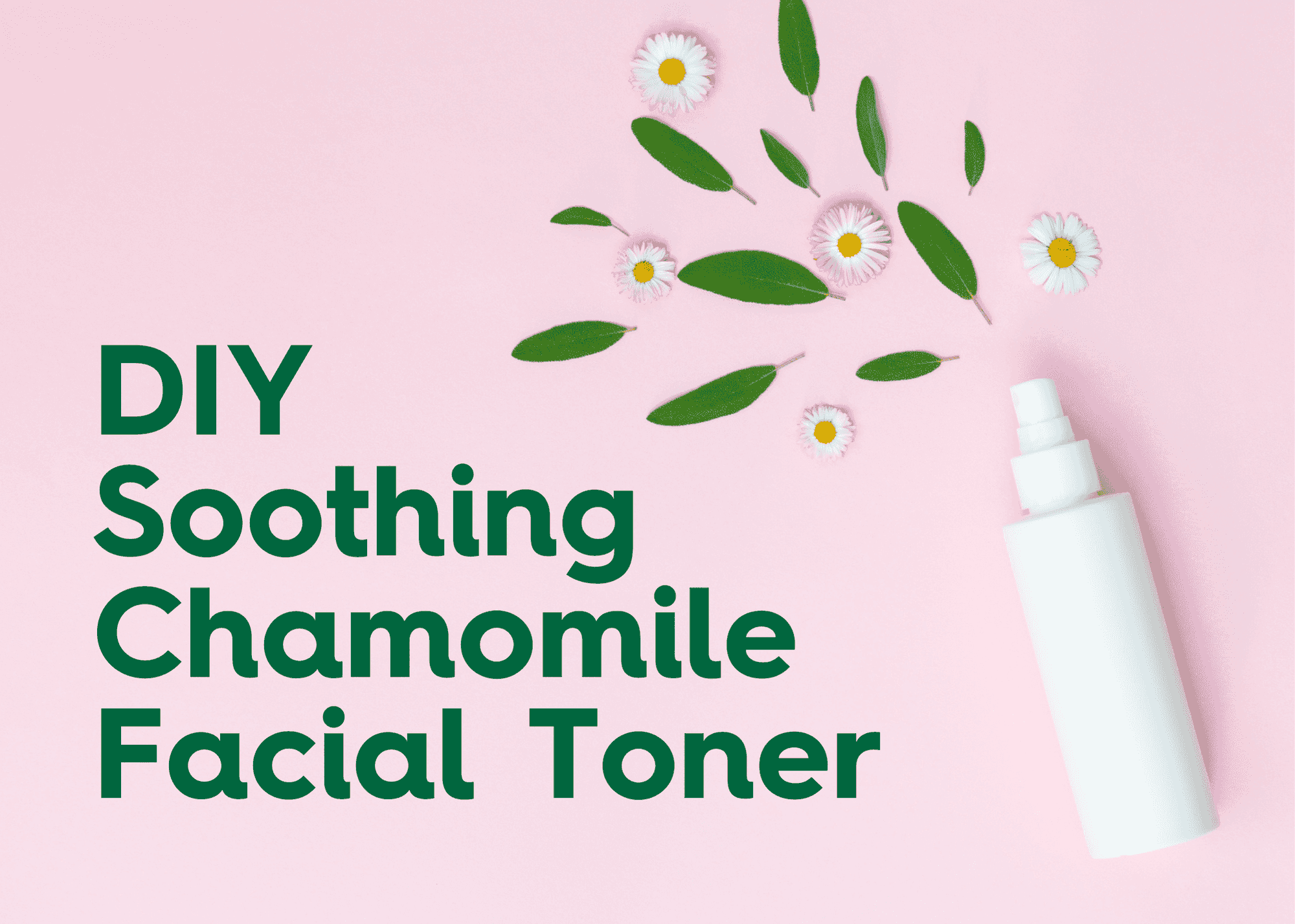 DIY Soothing Chamomile Facial Toner Recipe