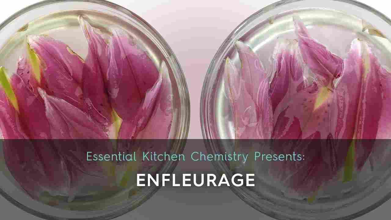 How to make an enfleurage: two lily blossoms in 2 bowls in oil. Cosmetic recipe