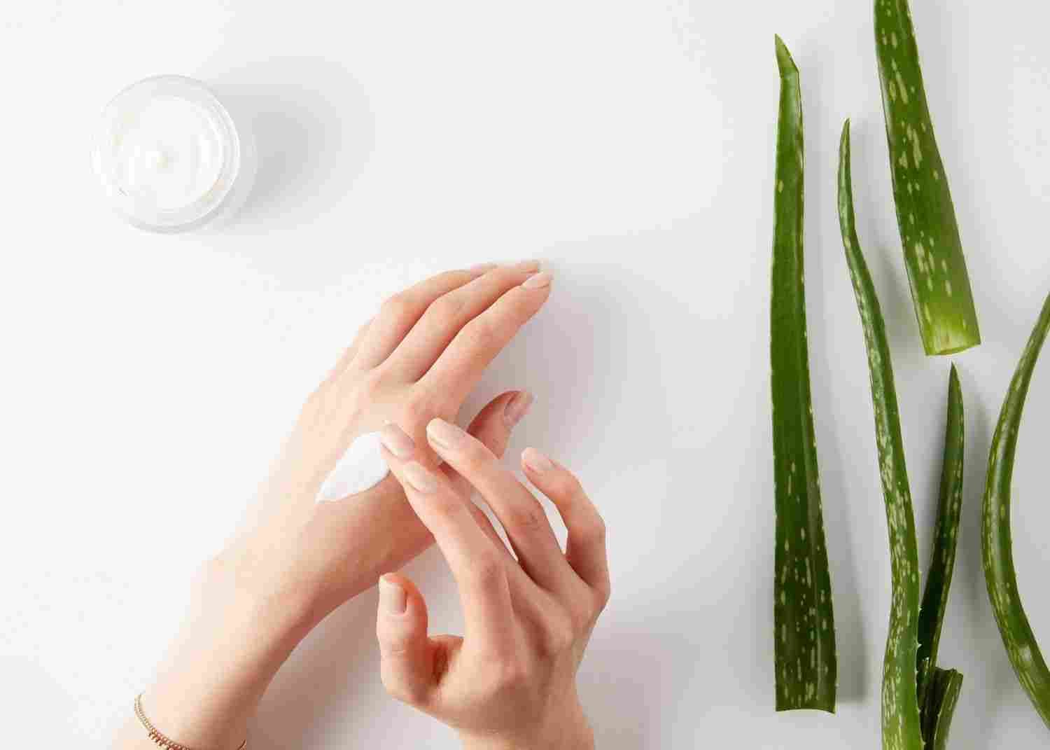 The Benefits of Using Aloe Vera in Skin Care